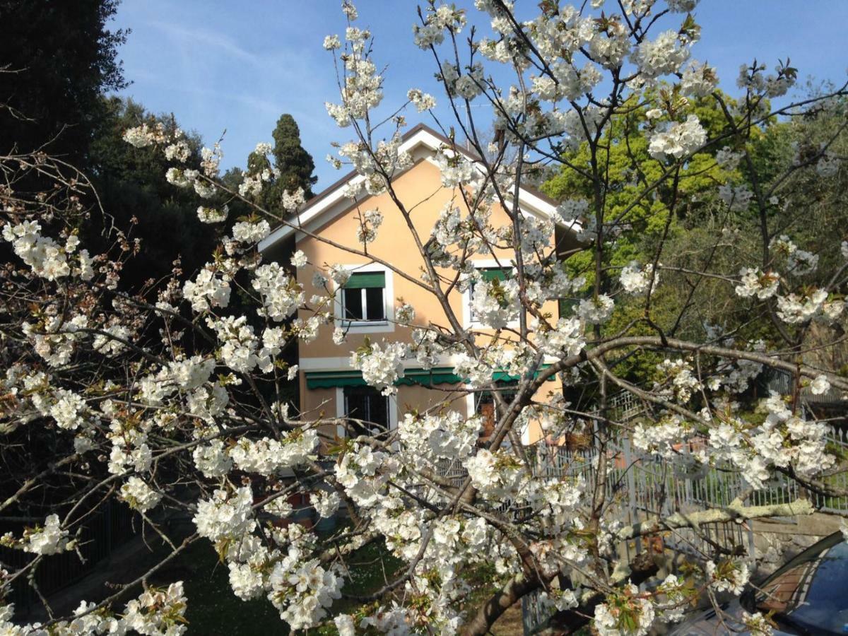 B&B La Rosa Segreta Γένοβα Εξωτερικό φωτογραφία